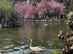 -昆明动物园