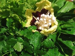 蔬菜拼盘-左庭右院鲜牛肉火锅(南通CBD大有境店)
