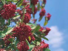 -杭州城北体育公园