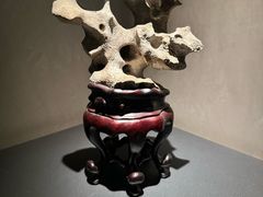 -觀芷隐轩