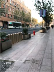 -金太子形象设计