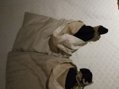 -常乐·对症推拿(世豪第30分店)