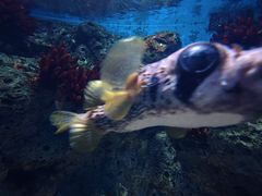 -福州罗源湾海洋世界旅游区