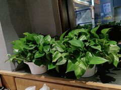 -木屋烧烤(西城天桥店)