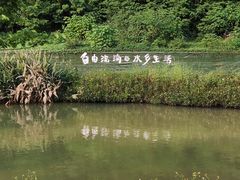 -江门古劳水乡旅游区
