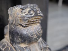 -何老二卤汁凉粉