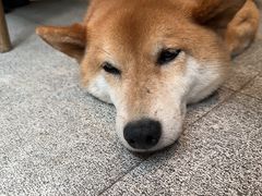 -三目仓咖啡(贤南路店)