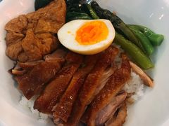 金奖卤鹅肉饭-陈鹏鹏潮汕菜(宝安机场T3航站楼店)