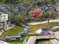 -上海吴淞炮台湾国家湿地公园