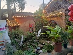 -园林美食城·本土农家菜(杨和镇店)