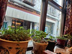 -玛禄藏膳(五分店)