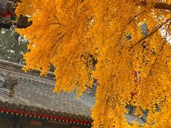-承恩寺