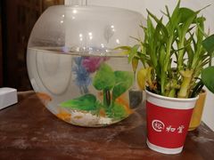 -裕和堂中医推拿艾灸(太古汇臻品店)
