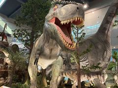 -湖南省地质博物馆