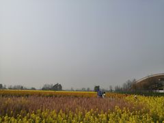 -中国天府农业博览园