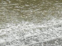 -桤木河湿地公园