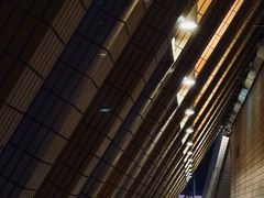 -星光大道