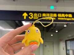 -证大大拇指广场(芳甸路店)