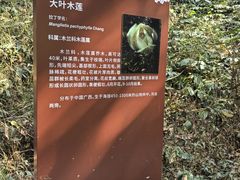-广州市流溪河国家森林公园