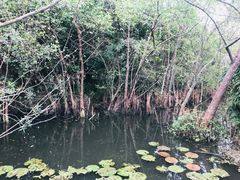 -白沙门生态公园