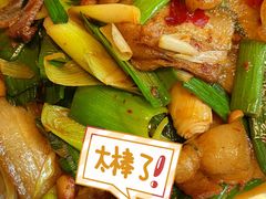 -熊猫家新派川菜(百里一·龙兴集店)