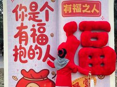 -西苑公园