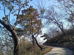 -北京西山国家森林公园