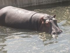 -哈尔滨北方森林动物园
