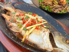 -沙州食驿·非遗小吃夜市