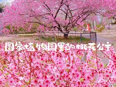 -国家植物园