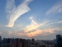 -禧月荟S月子中心(侨城店)