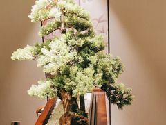 -顺峰(农展馆店)