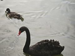 -中国农业博物馆