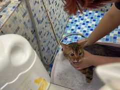-FAELING PETS美天灵宠物(富力广场店)