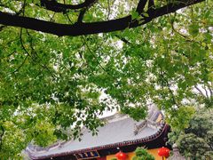-龙华寺