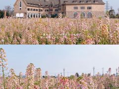 -中国天府农业博览园