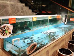 水产区-饭怕鱼(阳光100店)