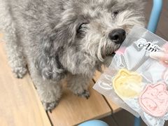 -Grande A'moo(上海万象城店)