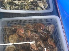 海鲜拼盘-日照大牌檔•小船海鲜(万平口店)
