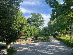 -合肥三国新城遗址公园