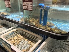-许爷家·生态湖鲜(徐汇日月光店)