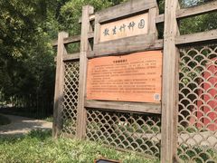 -望江楼公园