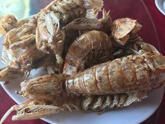 -板桥海鲜广场11排2号