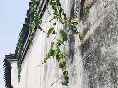 -慈城古县城景区