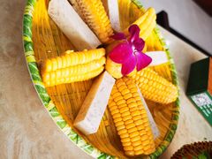 -墨脱石锅椰子鸡•香草鸭•东山羊(大东海店)