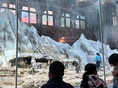 -帝企鹅自助餐厅•儿童岛•真企鹅(长隆企鹅酒店)