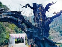 -龙湾潭国家森林公园