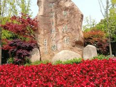 -苏州河梦清园环保主题公园