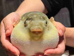 -永安鱼庄·镇江菜(东吴路店)