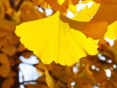 景点-西安汉城湖景区